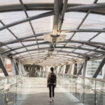 Smart Rooflight Choices for Modern Commercial Architecture