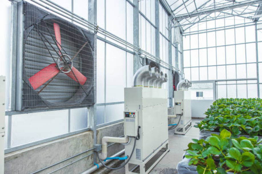 Industrial Dehumidifier Rental: The Smart Solution for Moisture Control 