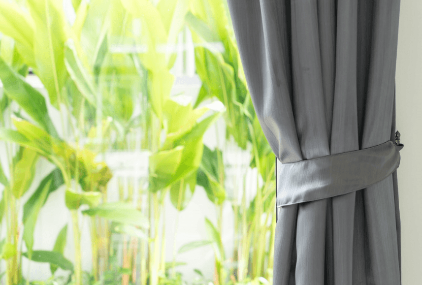 Soft Light, Strong Style: How Sheer Drapery Transforms Interiors