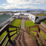 How Fast Response Can Reduce Damage During a Commercial Roofing Emergency